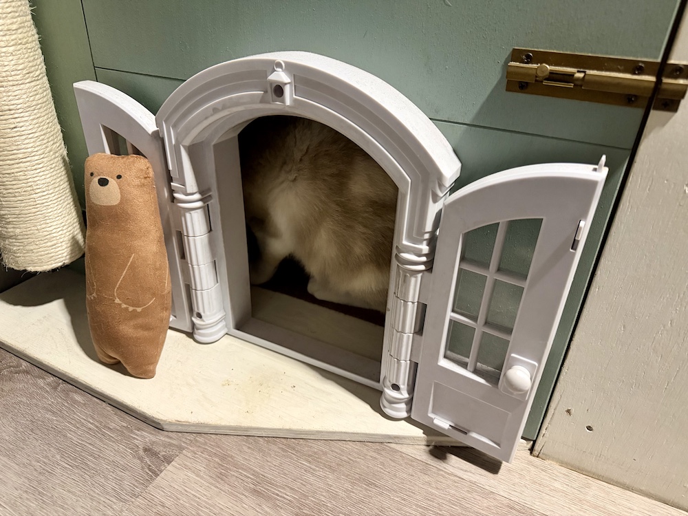 キャンピングカーで迎えた朝のみゅうちゃん